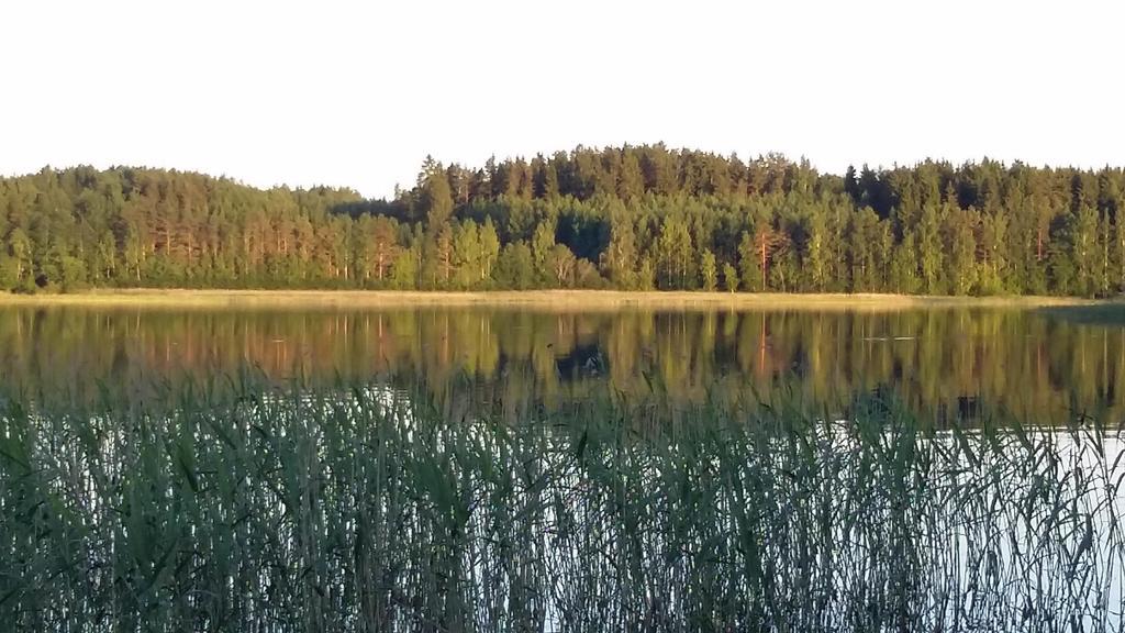 Lakehouse Saimaa B&B Taipalsaari Bagian luar foto